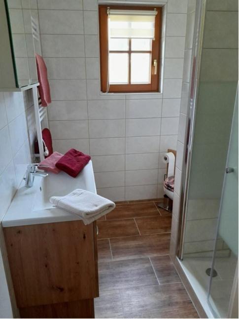 Haus Eder Apartment Ramsau am Dachstein Luaran gambar